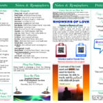 Bulletin 7.12.2026